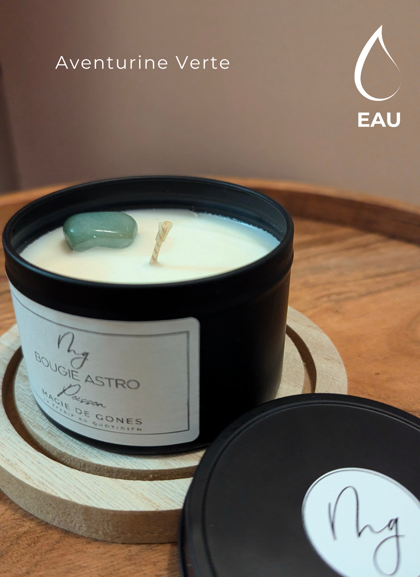 Bougie ASTRO Poisson